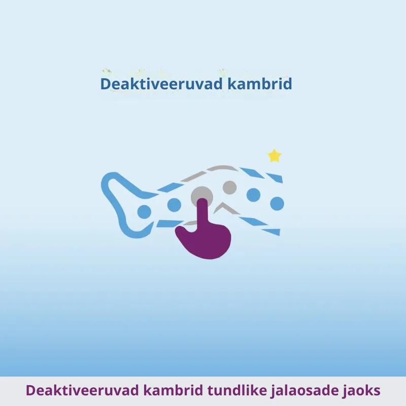 Venen Engel 4 kambriga Premium lümfiteraapia kompressioonseade